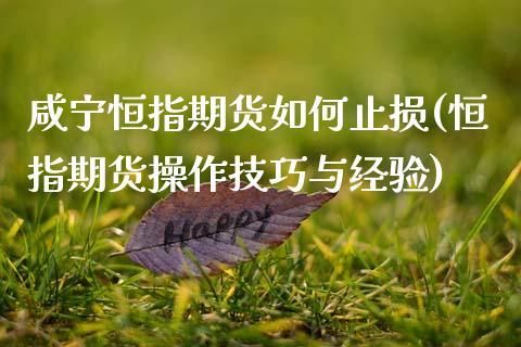 咸宁恒指期货如何止损(恒指期货操作技巧与经验)_https://www.zghnxxa.com_黄金期货_第1张