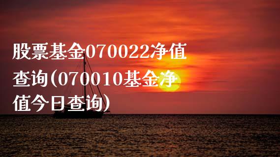 股票基金070022净值查询(070010基金净值今日查询)_https://www.zghnxxa.com_期货直播室_第1张