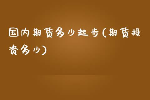 国内期货多少起步(期货投资多少)_https://www.zghnxxa.com_内盘期货_第1张