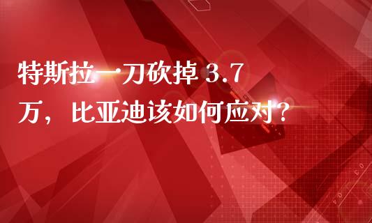 特斯拉一刀砍掉 3.7 万，比亚迪该如何应对?_https://www.zghnxxa.com_国际期货_第1张