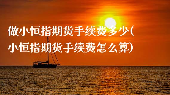 做小恒指期货手续费多少(小恒指期货手续费怎么算)_https://www.zghnxxa.com_国际期货_第1张