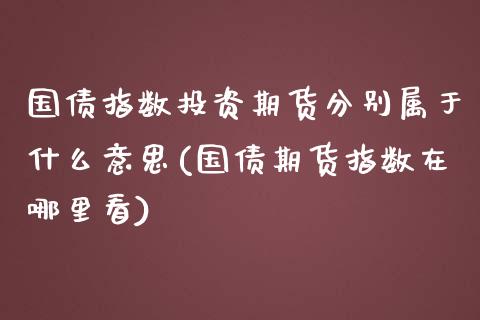 国债指数投资期货分别属于什么意思(国债期货指数在哪里看)_https://www.zghnxxa.com_期货直播室_第1张