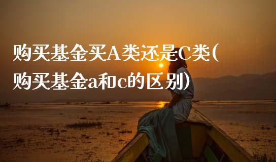 购买基金买A类还是C类(购买基金a和c的区别)_https://www.zghnxxa.com_黄金期货_第1张