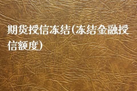 期货授信冻结(冻结金融授信额度)_https://www.zghnxxa.com_内盘期货_第1张