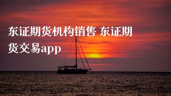 东证期货机构销售 东证期货交易app_https://www.zghnxxa.com_国际期货_第1张