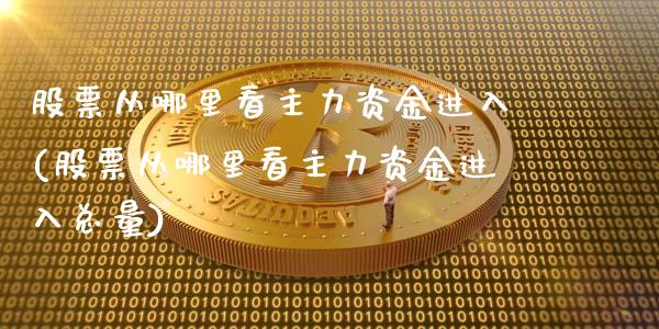 股票从哪里看主力资金进入(股票从哪里看主力资金进入总量)_https://www.zghnxxa.com_期货直播室_第1张