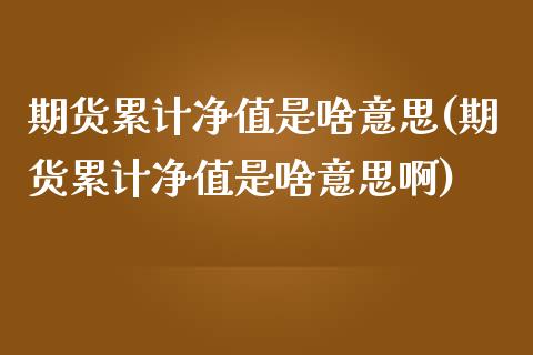 期货累计净值是啥意思(期货累计净值是啥意思啊)_https://www.zghnxxa.com_内盘期货_第1张