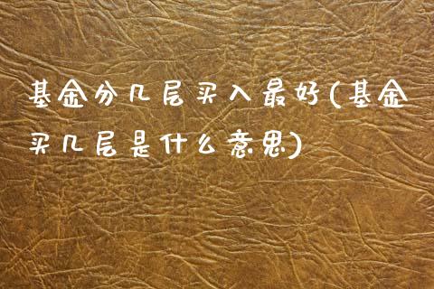 基金分几层买入最好(基金买几层是什么意思)_https://www.zghnxxa.com_国际期货_第1张