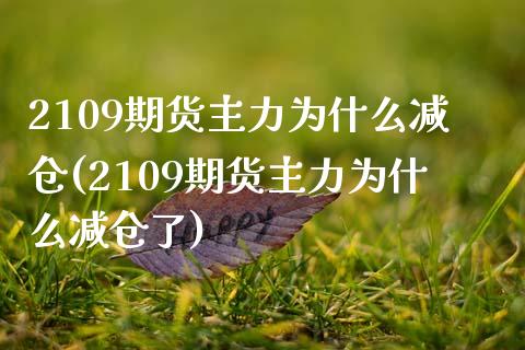 2109期货主力为什么减仓(2109期货主力为什么减仓了)_https://www.zghnxxa.com_内盘期货_第1张