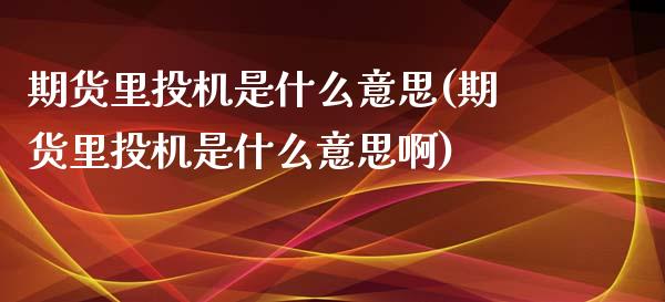 期货里投机是什么意思(期货里投机是什么意思啊)_https://www.zghnxxa.com_国际期货_第1张