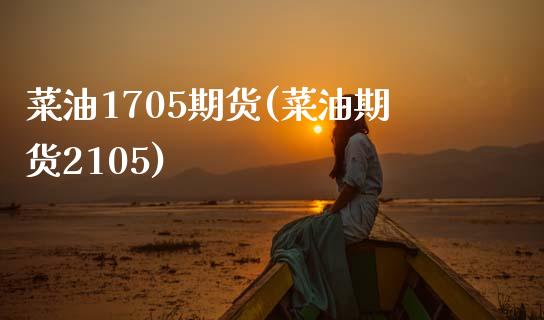 菜油1705期货(菜油期货2105)_https://www.zghnxxa.com_国际期货_第1张