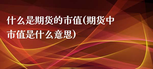 什么是期货的市值(期货中市值是什么意思)_https://www.zghnxxa.com_期货直播室_第1张