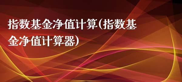 指数基金净值计算(指数基金净值计算器)_https://www.zghnxxa.com_期货直播室_第1张