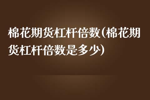 棉花期货杠杆倍数(棉花期货杠杆倍数是多少)_https://www.zghnxxa.com_国际期货_第1张