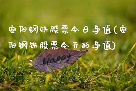 安阳钢铁股票今日净值(安阳钢铁股票今天的净值)_https://www.zghnxxa.com_内盘期货_第1张