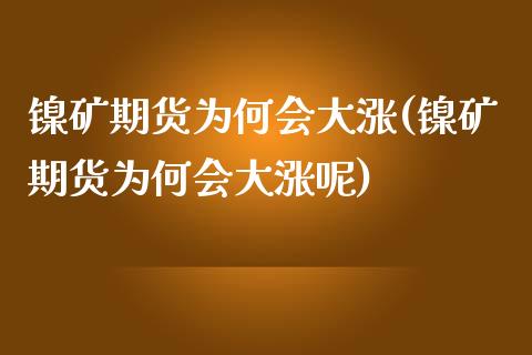 镍矿期货为何会大涨(镍矿期货为何会大涨呢)_https://www.zghnxxa.com_期货直播室_第1张