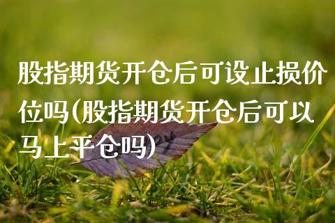 股指期货开仓后可设止损价位吗(股指期货开仓后可以马上平仓吗)_https://www.zghnxxa.com_期货直播室_第1张