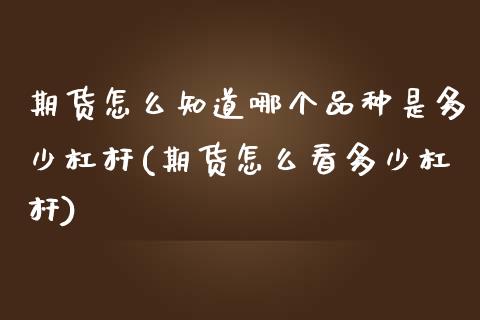 期货怎么知道哪个品种是多少杠杆(期货怎么看多少杠杆)_https://www.zghnxxa.com_内盘期货_第1张