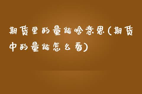 期货里的量能啥意思(期货中的量能怎么看)_https://www.zghnxxa.com_期货直播室_第1张