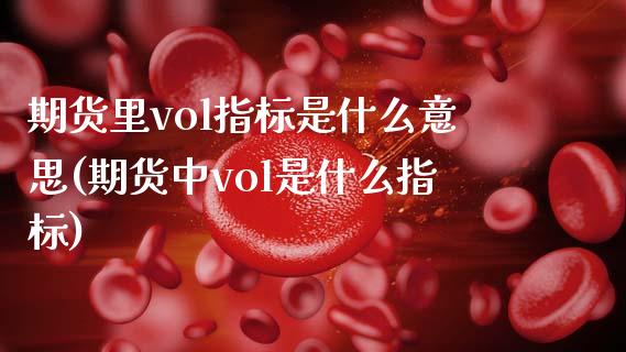 期货里vol指标是什么意思(期货中vol是什么指标)_https://www.zghnxxa.com_内盘期货_第1张