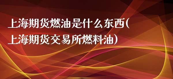 上海期货燃油是什么东西(上海期货交易所燃料油)_https://www.zghnxxa.com_内盘期货_第1张