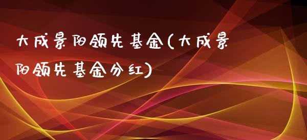 大成景阳领先基金(大成景阳领先基金分红)_https://www.zghnxxa.com_国际期货_第1张