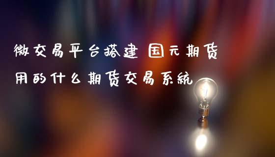 微交易平台搭建 国元期货用的什么期货交易系统_https://www.zghnxxa.com_国际期货_第1张