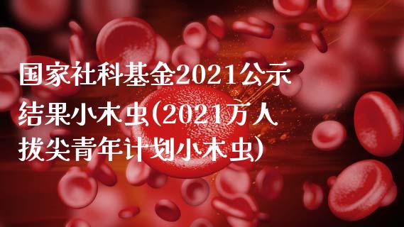 国家社科基金2021公示结果小木虫(2021万人拔尖青年计划小木虫)_https://www.zghnxxa.com_内盘期货_第1张