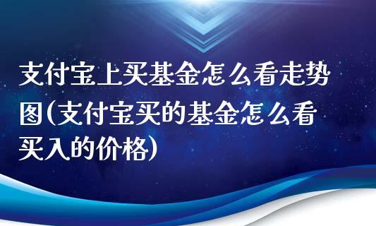 支付宝上买基金怎么看走势图(支付宝买的基金怎么看买入的价格)_https://www.zghnxxa.com_期货直播室_第1张