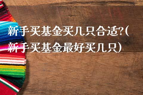 新手买基金买几只合适?(新手买基金最好买几只)_https://www.zghnxxa.com_黄金期货_第1张