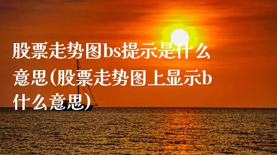 股票走势图bs提示是什么意思(股票走势图上显示b什么意思)_https://www.zghnxxa.com_黄金期货_第1张