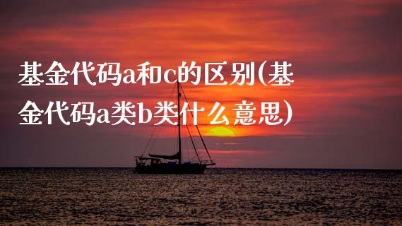 基金代码a和c的区别(基金代码a类b类什么意思)_https://www.zghnxxa.com_期货直播室_第1张