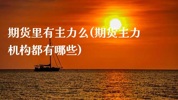 期货里有主力么(期货主力机构都有哪些)_https://www.zghnxxa.com_期货直播室_第1张