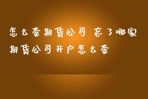 怎么查期货公司 忘了哪家期货公司开户怎么查_https://www.zghnxxa.com_内盘期货_第1张