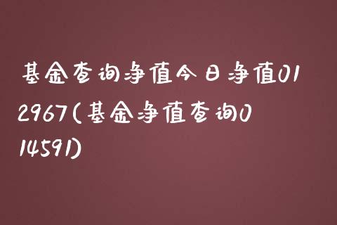 基金查询净值今日净值012967(基金净值查询014591)_https://www.zghnxxa.com_期货直播室_第1张