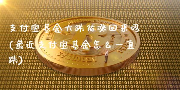 支付宝基金大跌能涨回来吗(最近支付宝基金怎么一直跌)_https://www.zghnxxa.com_内盘期货_第1张