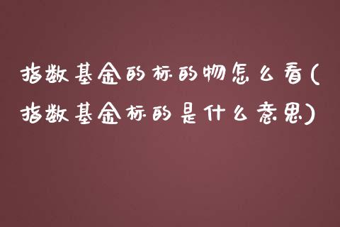 指数基金的标的物怎么看(指数基金标的是什么意思)_https://www.zghnxxa.com_黄金期货_第1张