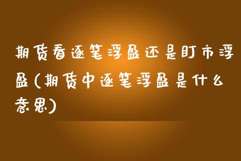 期货看逐笔浮盈还是盯市浮盈(期货中逐笔浮盈是什么意思)_https://www.zghnxxa.com_期货直播室_第1张