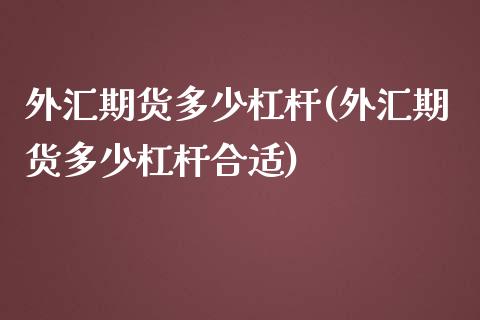 外汇期货多少杠杆(外汇期货多少杠杆合适)_https://www.zghnxxa.com_黄金期货_第1张