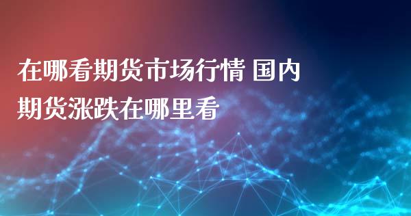 在哪看期货市场行情 国内期货涨跌在哪里看_https://www.zghnxxa.com_内盘期货_第1张