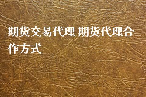 期货交易代理 期货代理合作方式_https://www.zghnxxa.com_内盘期货_第1张