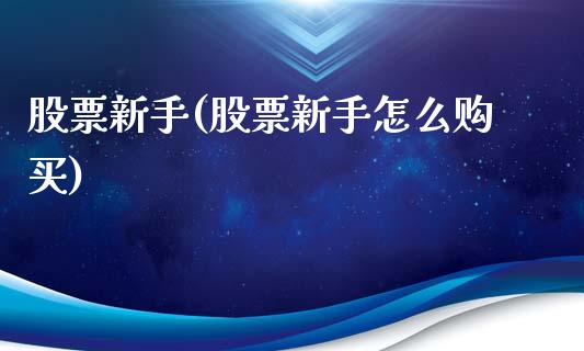 股票新手(股票新手怎么购买)_https://www.zghnxxa.com_国际期货_第1张