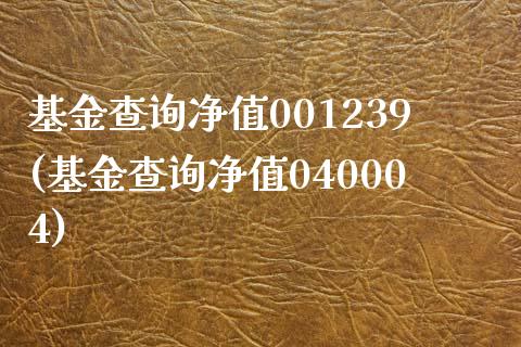 基金查询净值001239(基金查询净值040004)_https://www.zghnxxa.com_国际期货_第1张