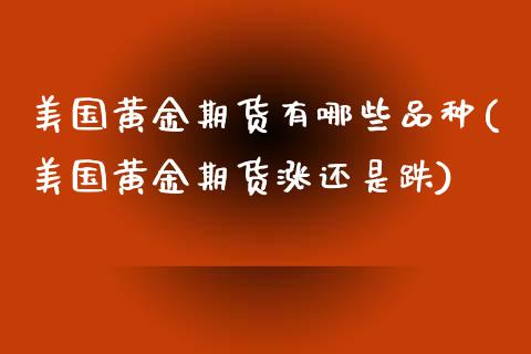 美国黄金期货有哪些品种(美国黄金期货涨还是跌)_https://www.zghnxxa.com_黄金期货_第1张