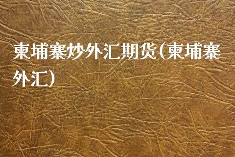 柬埔寨炒外汇期货(柬埔寨外汇)_https://www.zghnxxa.com_内盘期货_第1张