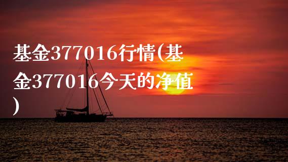 基金377016行情(基金377016今天的净值)_https://www.zghnxxa.com_黄金期货_第1张