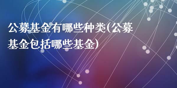 公募基金有哪些种类(公募基金包括哪些基金)_https://www.zghnxxa.com_内盘期货_第1张