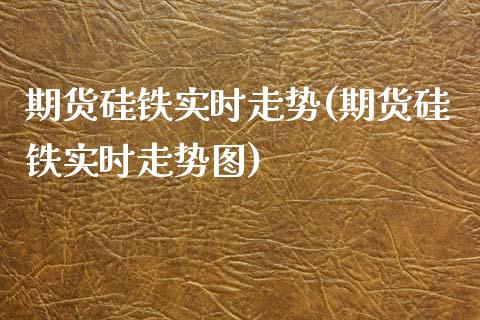 期货硅铁实时走势(期货硅铁实时走势图)_https://www.zghnxxa.com_国际期货_第1张