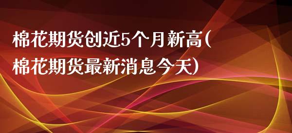 棉花期货创近5个月新高(棉花期货最新消息今天)_https://www.zghnxxa.com_国际期货_第1张