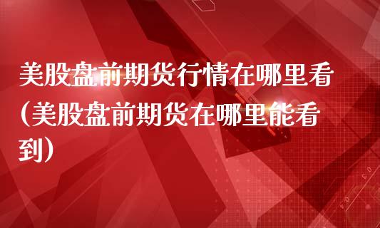 美股盘前期货行情在哪里看(美股盘前期货在哪里能看到)_https://www.zghnxxa.com_国际期货_第1张